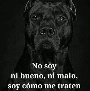 Meet your Posher, Byron